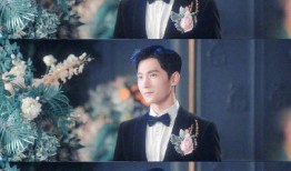 陈明星最新爆料,揭秘娱乐圈惊人内幕！