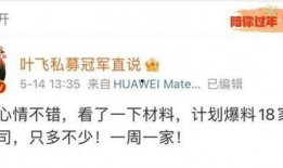 叶飞私募最新爆料,揭秘资本市场的暗流涌动