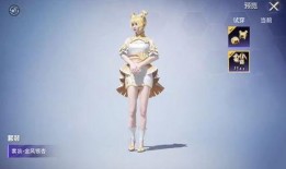 和平精英中转盘爆料最新,全新内容即将上线，惊喜不断等你来探索！