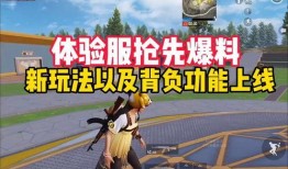 爆料体验服最新玩法大全,爆料大全带你领略游戏新境界