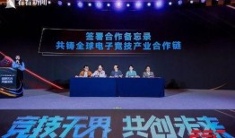 鸿毅电竞爆料最新消息新闻,揭秘电竞行业最新动态与趋势