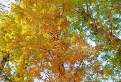 周至尚九路最新爆料,揭秘尚九路全新面貌与周边配套升级