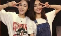 吴迪和安妮最新消息爆料,揭秘娱乐圈背后的惊人真相！