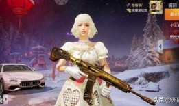 今年载具皮肤最新爆料,炫酷设计，个性十足，带你领略未来潮流！