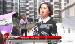 莆田王小姐最新爆料,揭秘事件背后惊人真相