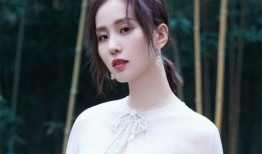 最新大爆料刘诗诗视频,背后真相令人震惊！