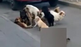 黑哥爆料最新,娱乐圈最新爆料大起底！