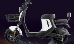 雅迪新品最新爆料车型,颠覆传统，引领绿色出行新潮流